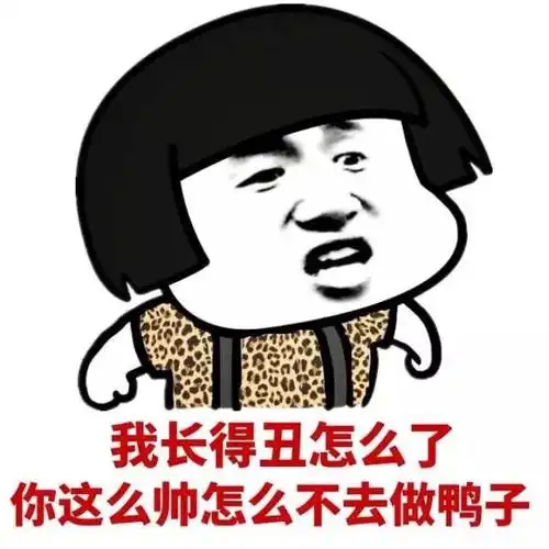 我长得丑怎么了,你这么帅怎么不去做鸭子 - 装逼