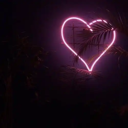 ζqq主页背景图fairy