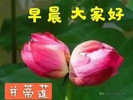 大家早上好图片