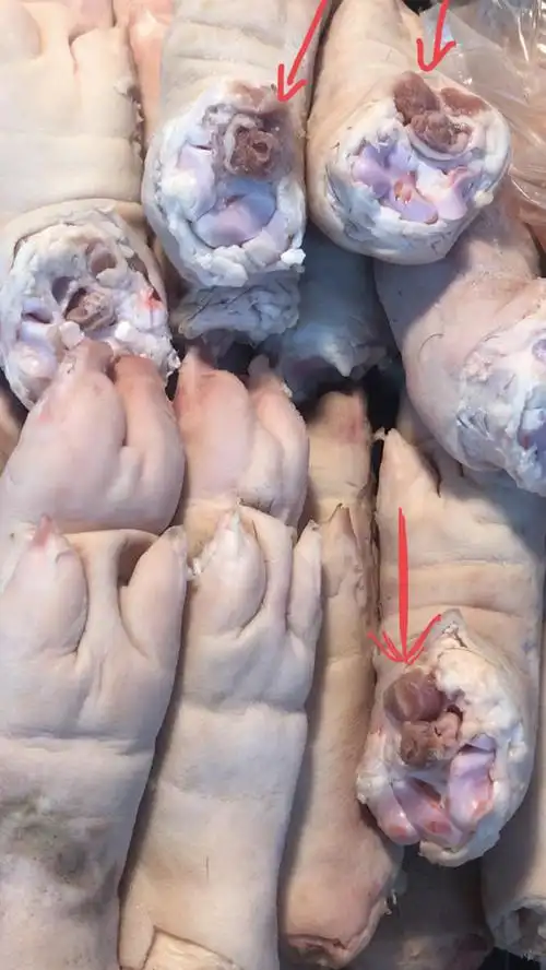 竟然有人瞧不起后猪蹄猪的前蹄后蹄有什么区别