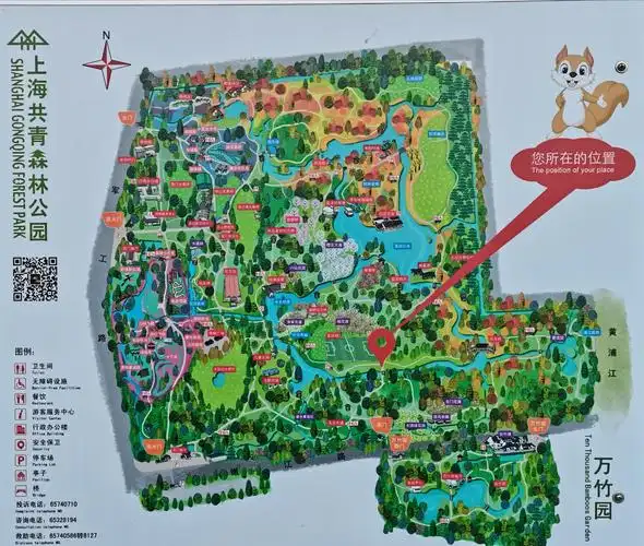 上海共青国家森林公园秋色