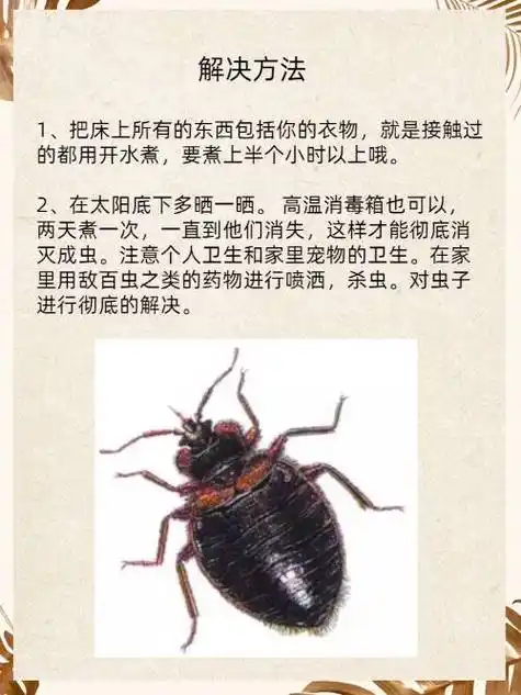 床上的黑色芝麻小虫子是木蚤.木蚤又称床虱,臭虫,壁虱.