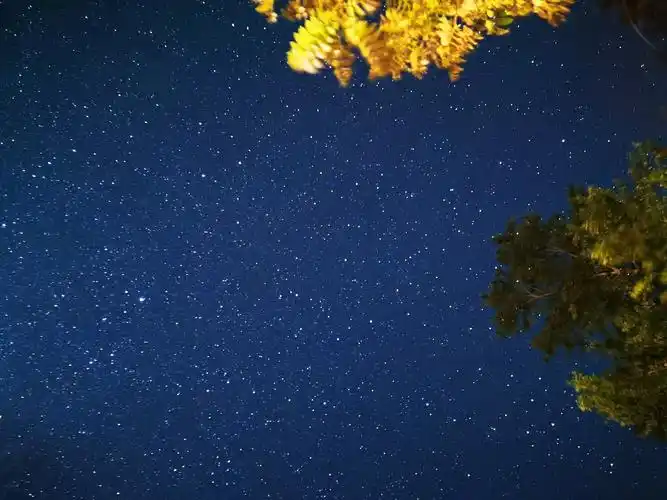 满天繁星,最后一张是银河哦 - 花粉随手拍夜景 花粉俱乐部
