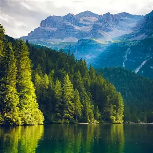 抖音图片最火头像风景