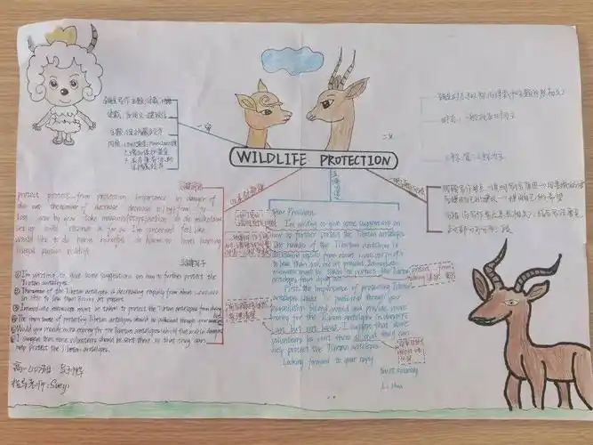 动物保护我们一起努力高一英语阅读节及思维导图绘制大赛