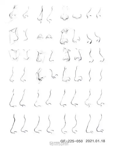 古风插画鼻子的基本画法