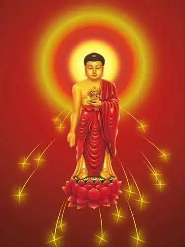 极乐归舟的相册-阿弥陀佛身金色,相好光明无等伦