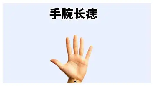 在相学当中,若是一个人的乳房的位置处长有恶痣,则属于典型的狼心狗肺