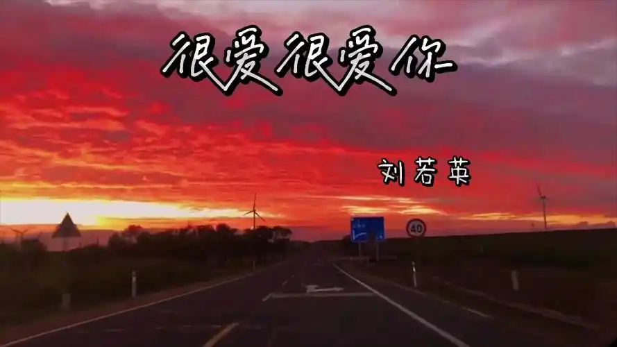 很爱很爱你～～刘若英