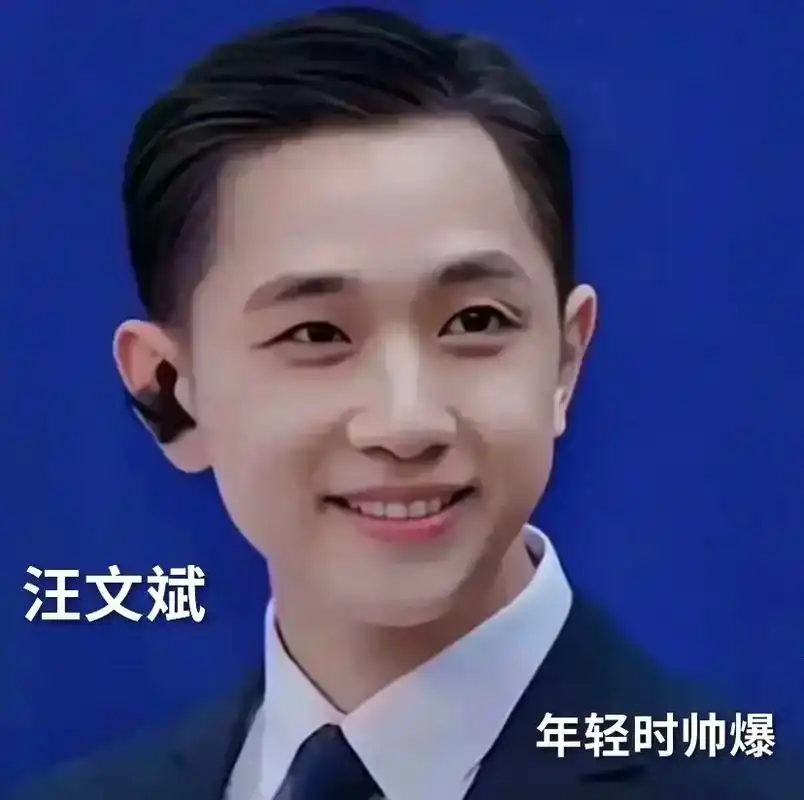 外交官汪文斌 中国人的男神91#外交发言人 - 抖音