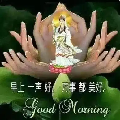 周五早安微信阳光早安问候语大全 早上好的早安问候语带图片