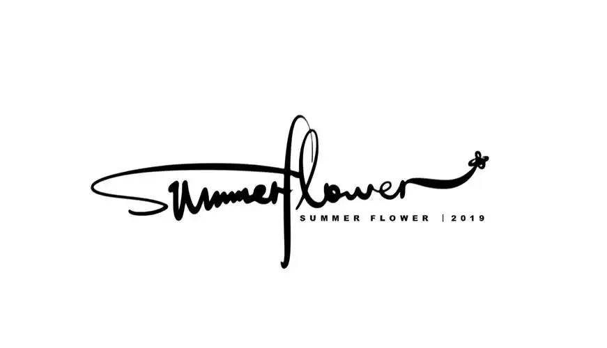 手写英文字体创意设计丨signature logo design works