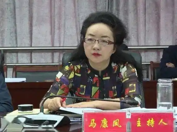 马康凤主持召开政府常务会强调了什么内容看这里