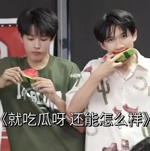 tf家族三代表情包14