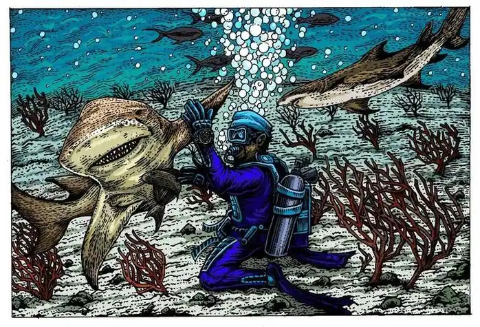 虎鲨简笔画虎鲨简笔画图片大全