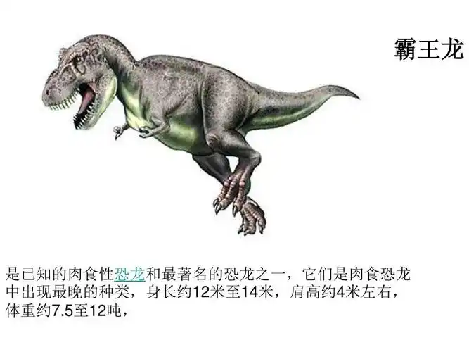 人教版四年级上册 31飞向蓝天的恐龙ppt