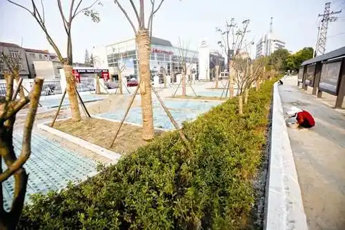 福州仓山新停车场 林荫式绿化是标配