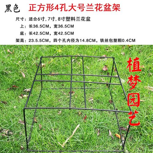 兰花花架阳台兰草盆架花盆支架室内不锈钢铁艺兰架孔孔专用花架子