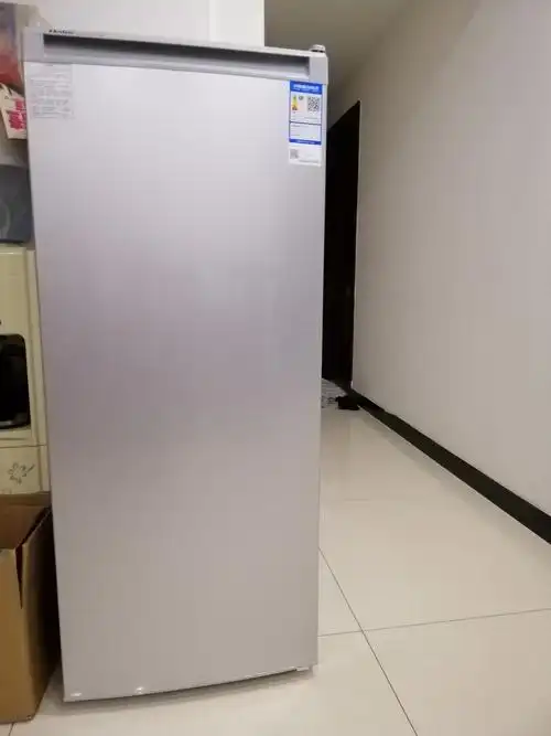 海尔 193升 母婴母乳 家用商用抽屉 大冷冻侧开门立式冷柜 电冰柜bd