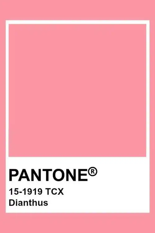 最终没逃脱粉色真香定律