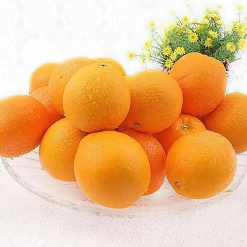 5斤赣南脐橙