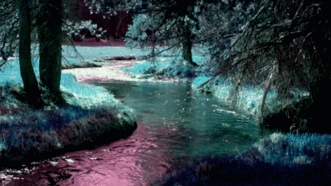 河溪水风景rivernaturegif动图_动态图_表情包下载_soogif