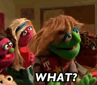 蒙圈懵逼what芝麻街gif动图_动态图_表情包下载_soogif