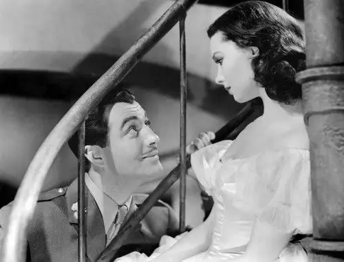 魂断蓝桥waterloo bridge(1940)剧照 #47