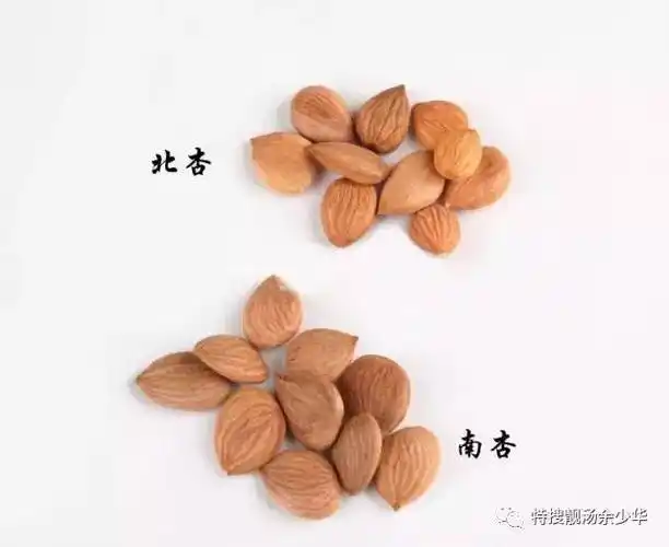 六一儿童靓汤,亲妈必备!