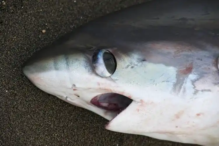 人文,风景,休闲