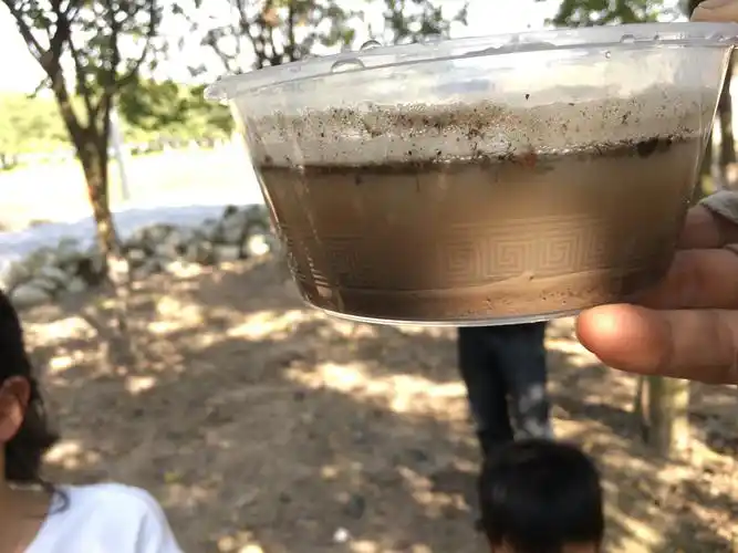 融入水的土壤有分层情况