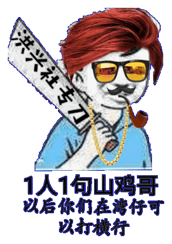 1人1句山鸡哥,以后你们在湾仔可以打横行