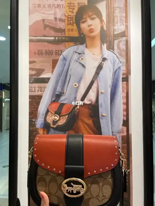 coach马鞍包杨紫同款