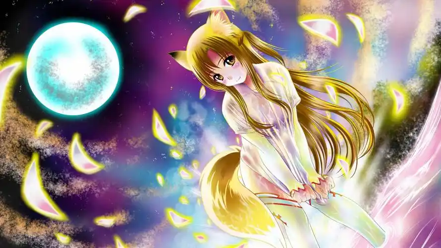 蓝色眼睛猫耳少女 尾巴 可爱二次元动漫壁纸热度 (999)少女房间 女孩