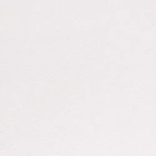 蒂尼斯集成墙板米粒乳白