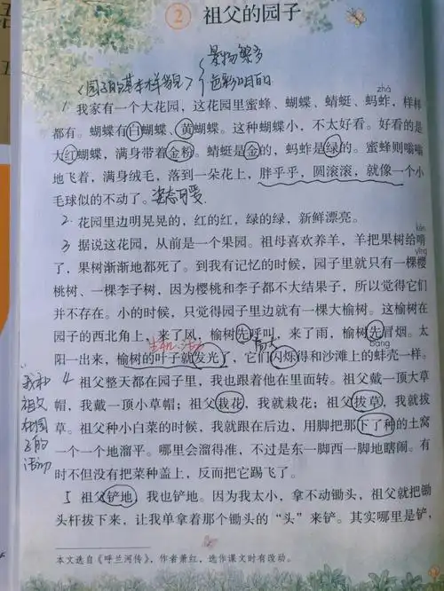 五下语文2祖父的园子