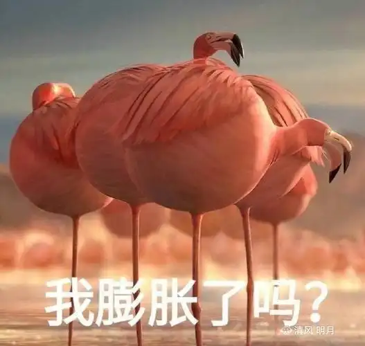 我骄傲了吗?不,我膨胀了