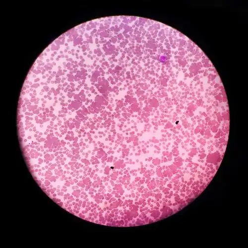 你的血型与性格智商社会地位真的有关系么地球知识局