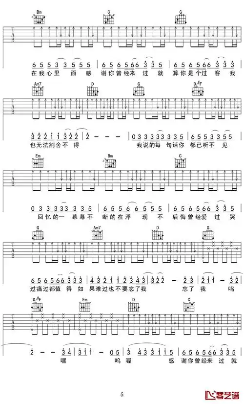 感谢你曾来过吉他谱-ayo97/阿涵-总会有一两个人成为我们人生中路过的