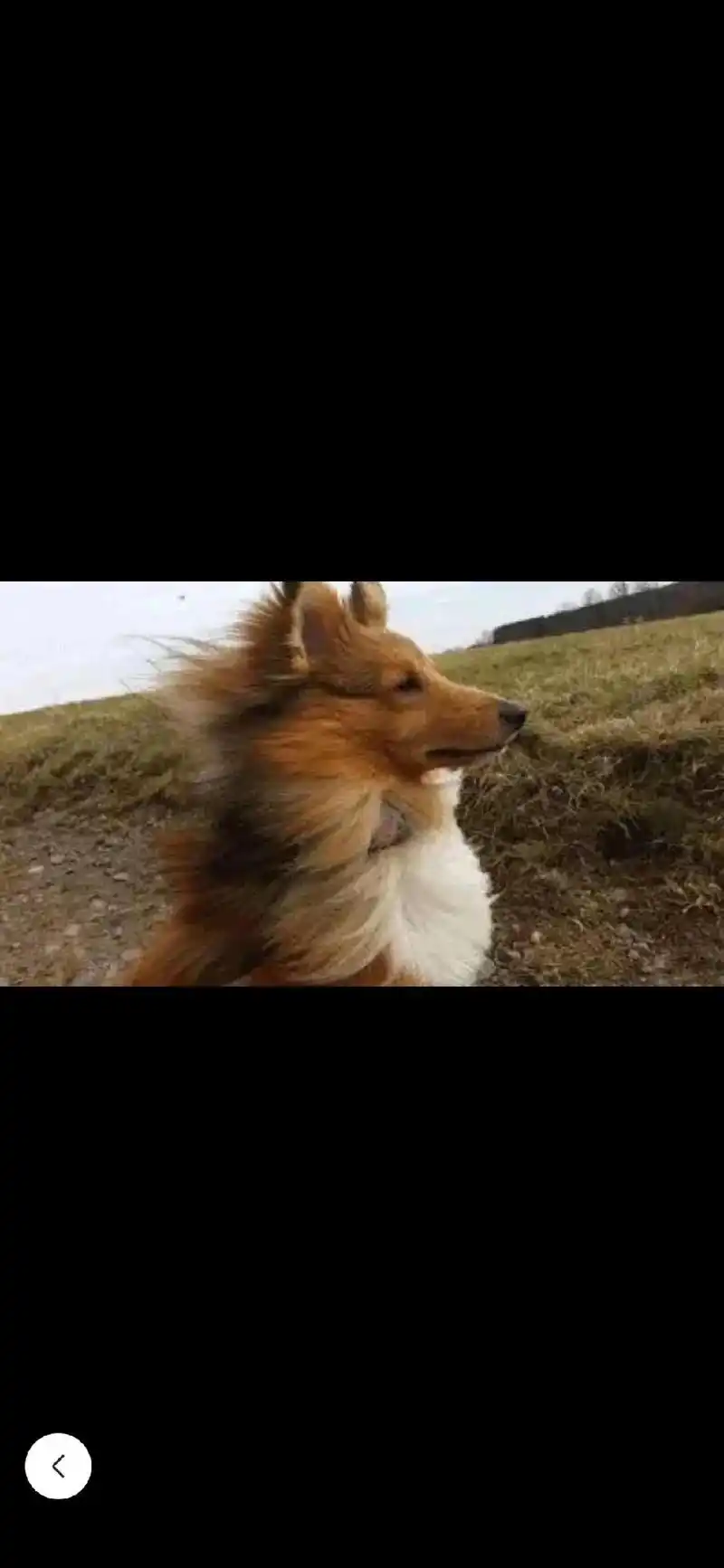 外面的风很大,空气很冷,灯光很暗,人也很空,遇见的人笑起来却 - 抖音