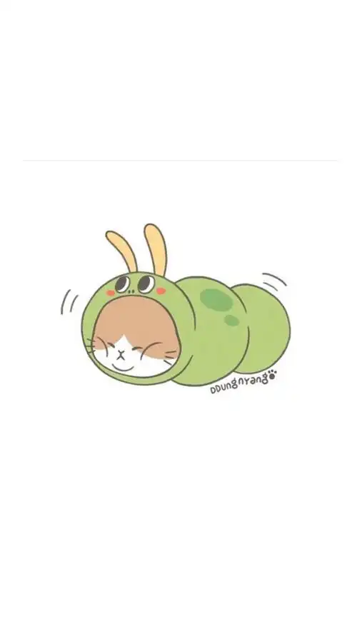 精选17款小清新猫咪手机壁纸,让可爱猫猫陪伴你度过每一天!