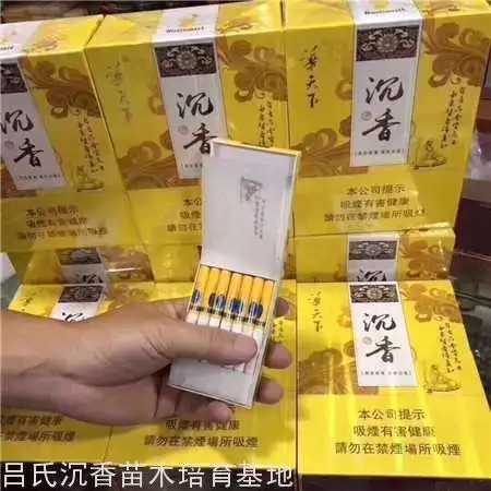 澳门华天下沉香烟_华天下沉香价格表