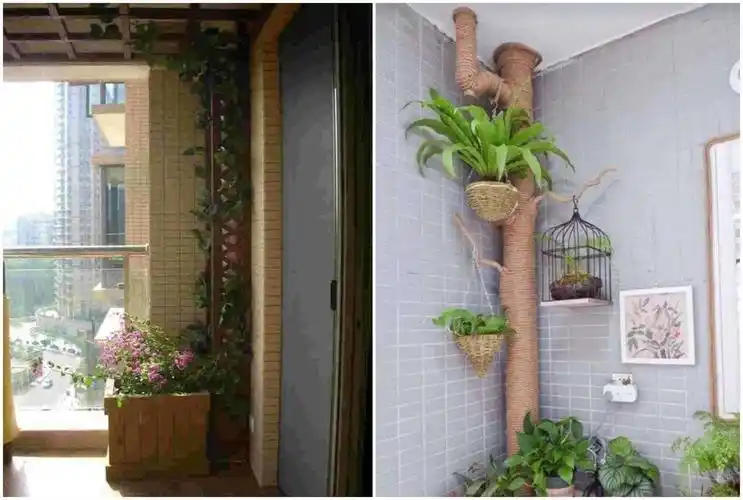 开发商怎么想的,公用雨水管不好好呆外墙上,杵阳台内多碍事