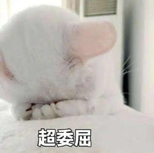 委屈的图片委屈的表情包合集