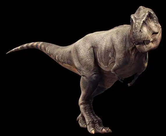霸王龙雷克斯暴龙最凶猛的白垩纪食肉恐龙