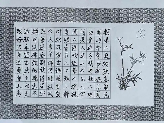 沧县职教中心"桃李杯"书法比赛