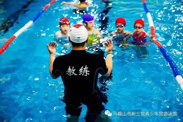新三馆 黄金海岸青少年宫游泳培训中心夏季优惠大酬宾!