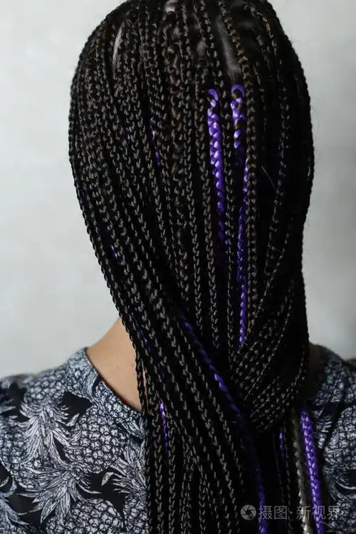 许多薄薄的非洲辫子漂亮的程式化的发型