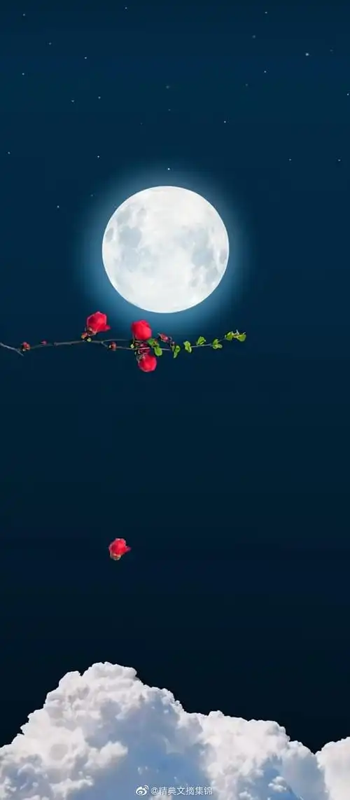 811_1853竖版 竖屏