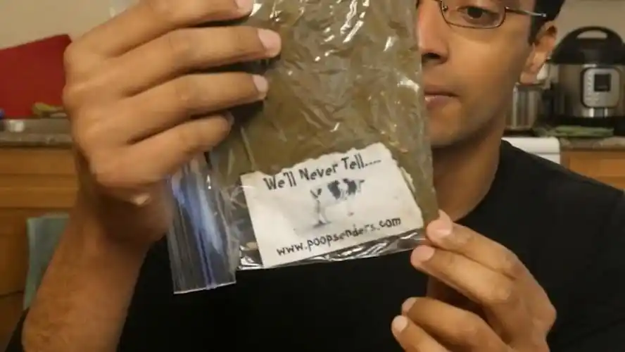 世界上最臭的快递,并不是臭豆腐_澎湃号·湃客_澎湃新闻-the paper